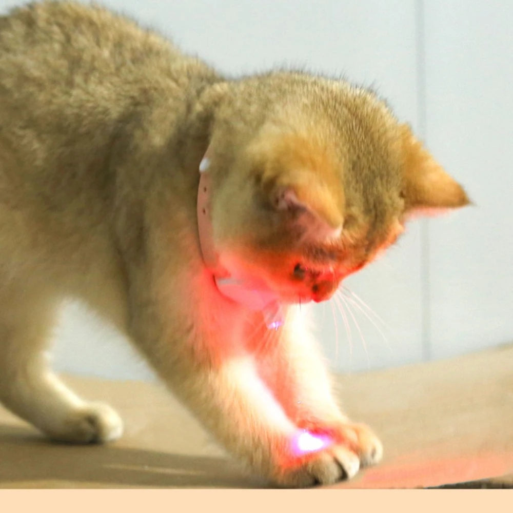 Pawfect Laser Smart Cat-teasing Collar