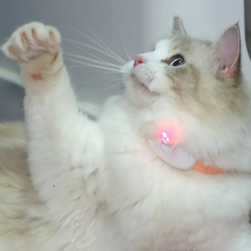 Pawfect Laser Smart Cat-teasing Collar