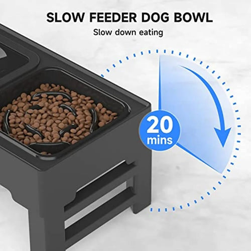 Elevated Slow Feeder & Non Spill Water Bowl